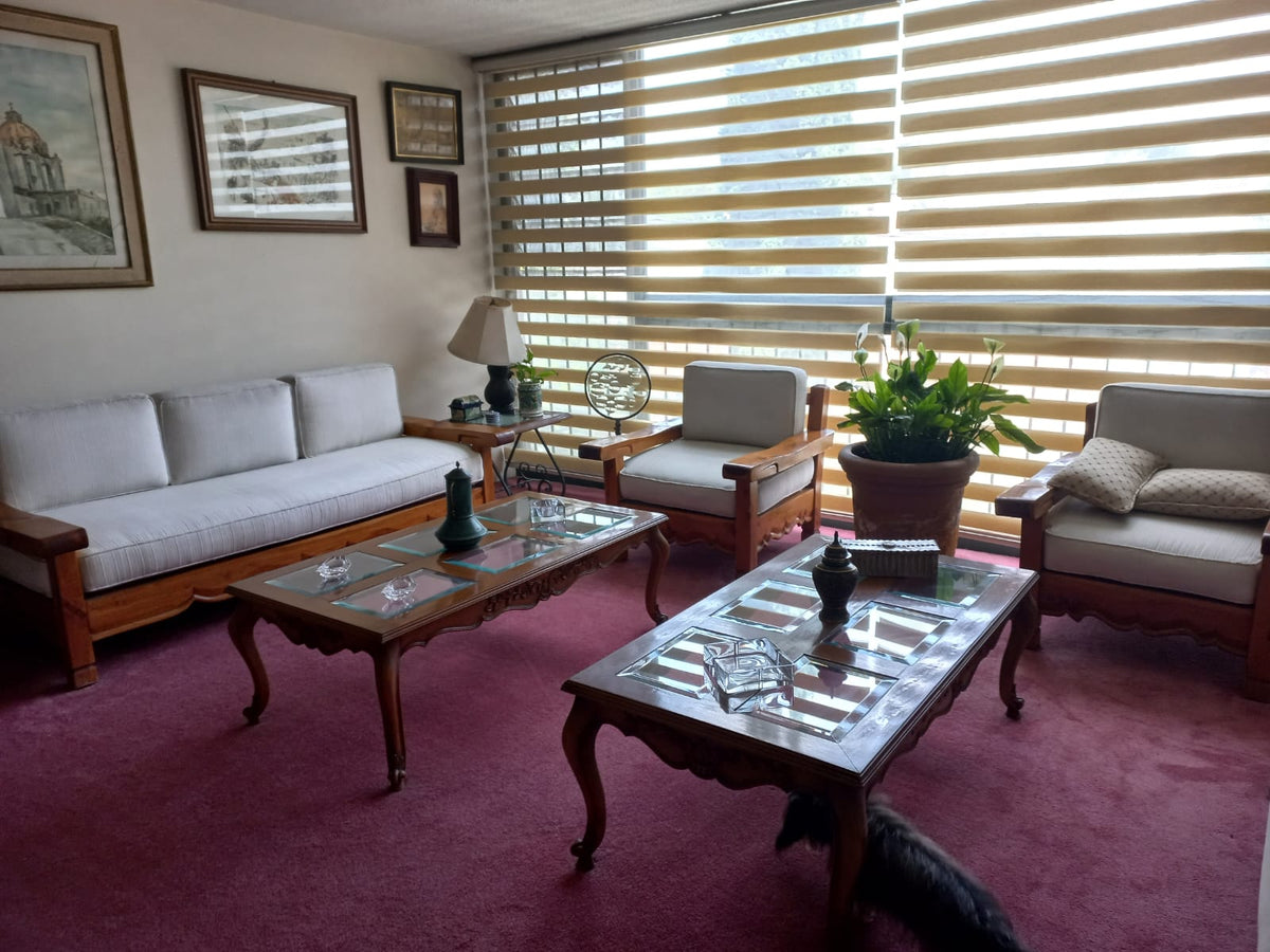 Cortinas y persianas (tradicionales y motorizadas)